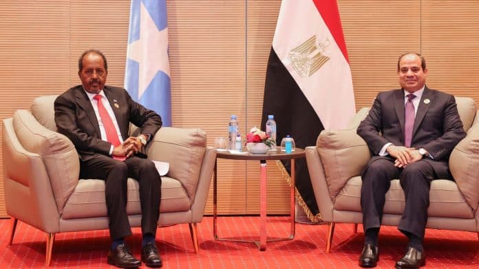 Egypt Presses Somalia to Free Eight Sailors Held by Pirates on Hijacked Ship