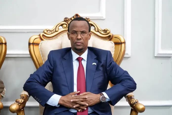Somalia's Hirshabelle President Ali Guudlawe Re-elected for Another Five-Year Term